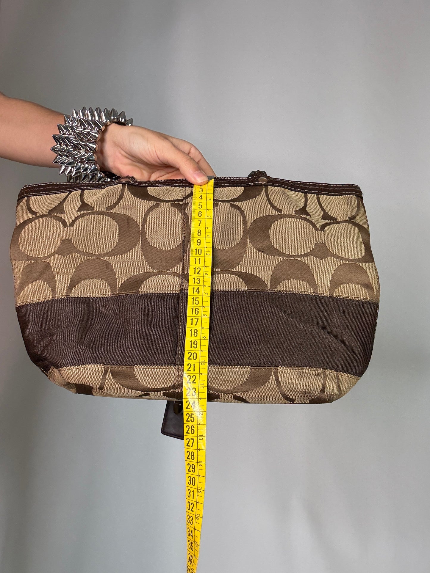 Coach Vintage Y2K bag